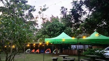 Terras