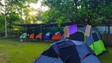 Tienda de campaña estándar, vista al jardín | 1 habitación