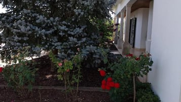Detalhe da fachada