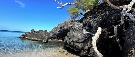 Camastros y toallas de playa