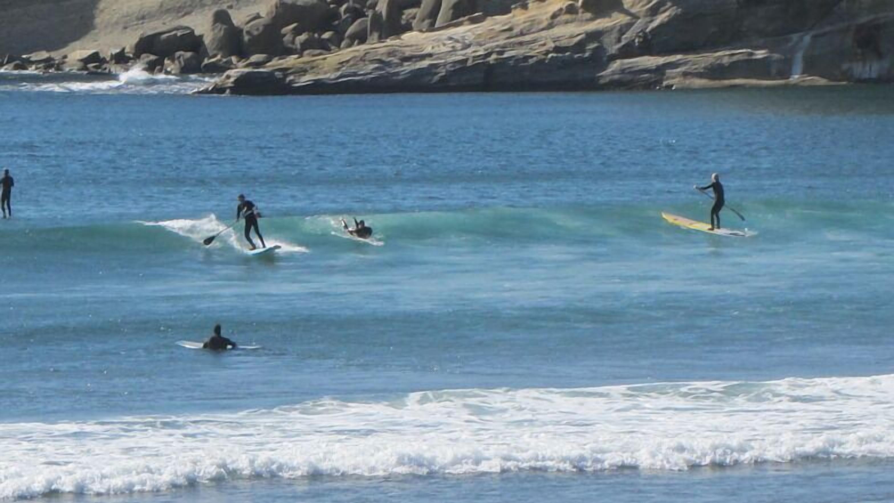 Een kustlandschap met surfers in het water.
