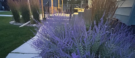 المنطقة المحيطة بالمنشأة