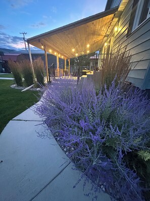 Un patio couvert doté d’un toit en bois et d’un éclairage extérieur, entouré d’un jardin où poussent des plantes à fleurs violettes.