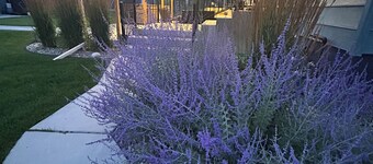 Spacious 5-bedroom house in beautiful Anaconda with Salt water Hot Tub