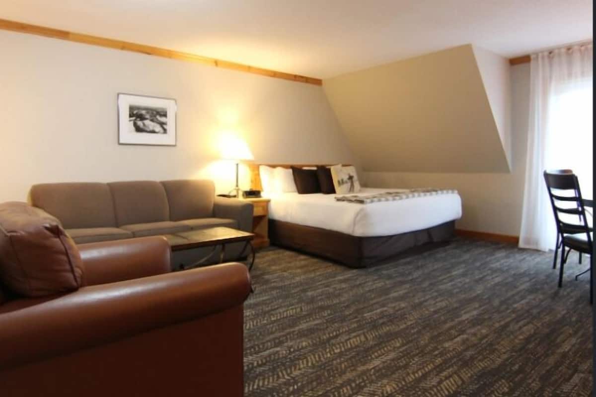 A hotel room with a bed, a sofa, a desk, and a chair.