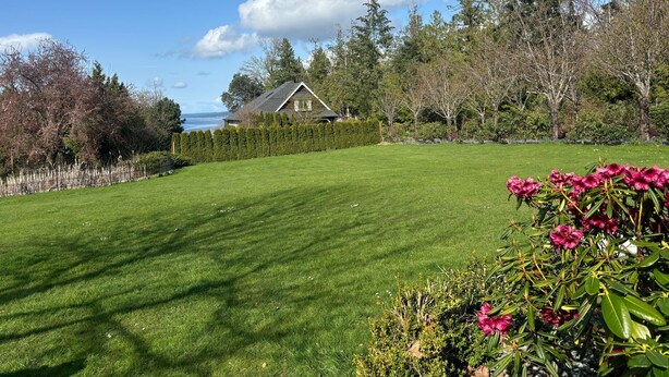 A well-maintained lawn with a house in the background, surrounded by trees and shrubs.