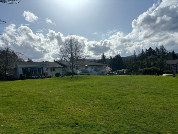A residential area with houses, a grassy lawn, and a tree.