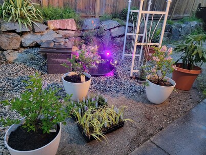 Homey Place in Sechelt , close to town and beaches