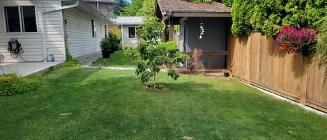 Un patio trasero residencial bien cuidado, con un pequeño porche, valla de madera y diversas plantas en macetas.