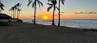 Charming 1 bdr in LAIE
Private yard and entrance! 5 minute walk to Hukilau beach