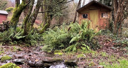 Serenity Cabin Retreat in Tipperary