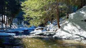 Una riba de riu coberta de neu, amb arbres i un torrent clar.