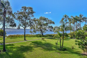 A park with a walking path, trees, and a view of the water.