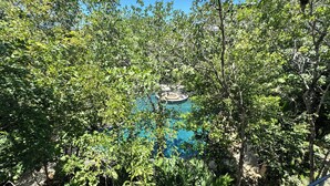 A circular pool surrounded by dense foliage. - Meraki Luxury Condo by Marea  (Tulum)
