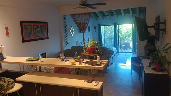 Téléviseur connecté, lecteur de DVD, livres