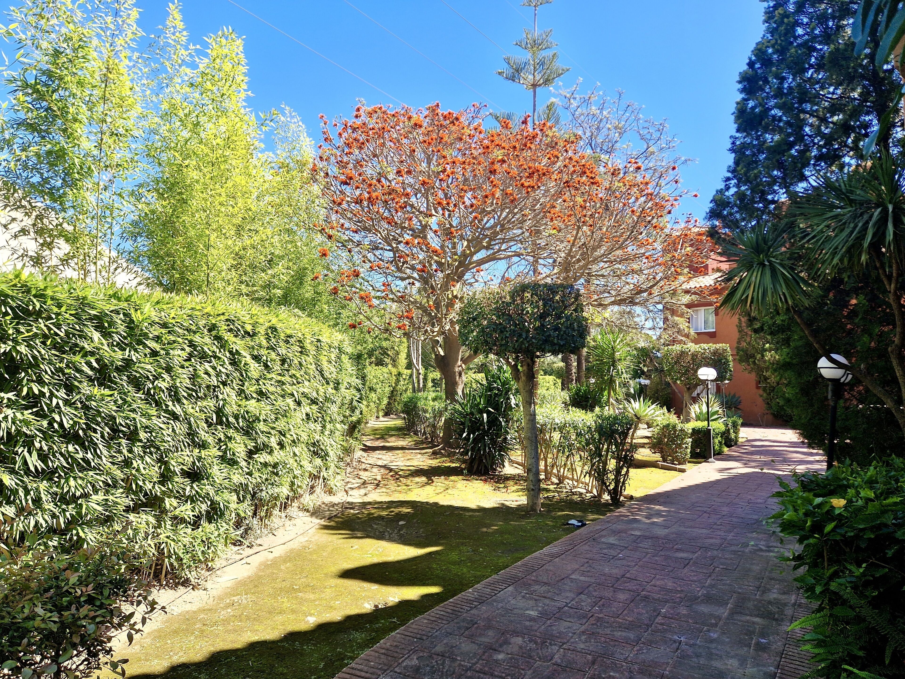 Áreas de la propiedad