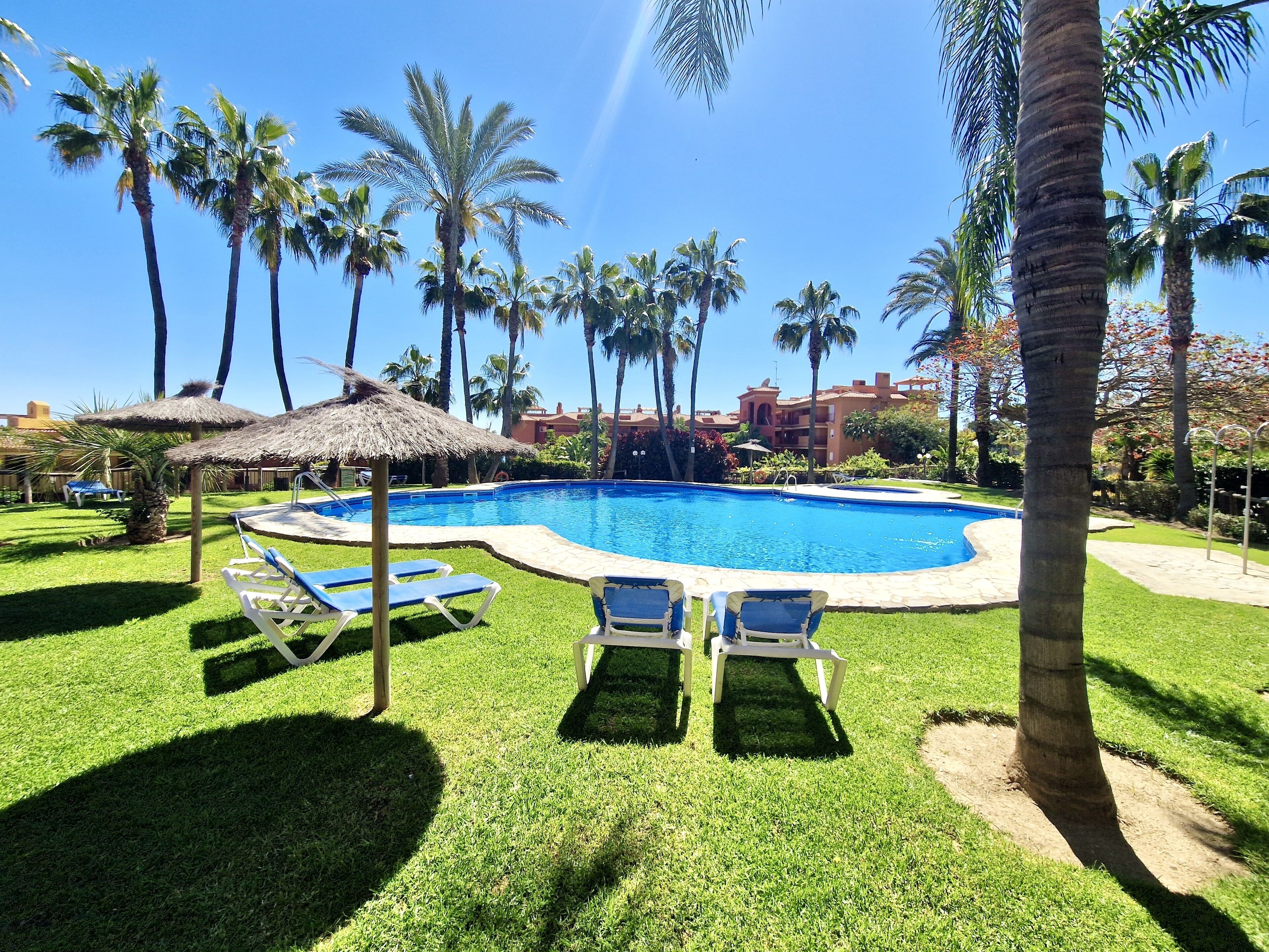 Ein Swimmingpool, umgeben von Palmen und Liegestühlen.