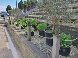 Cottage | Property grounds