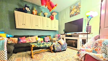 TV connectée, cheminée, lecteur de DVD, livres