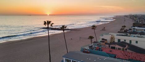 A beach view with a sunset, palm trees, and buildings with red roofs.