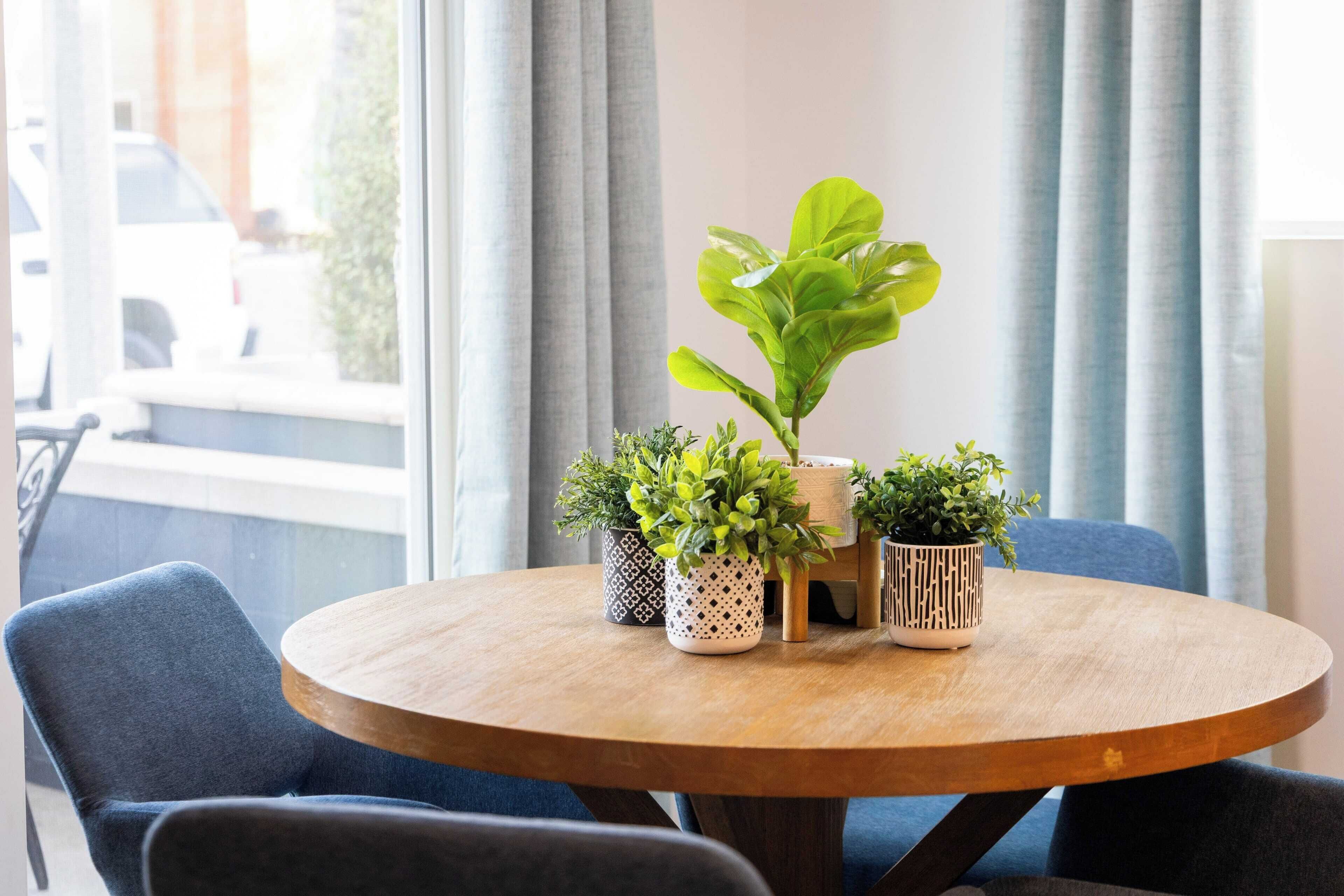 A round wooden table with four potted plants in patterned vases, surrounded by blue chairs.
