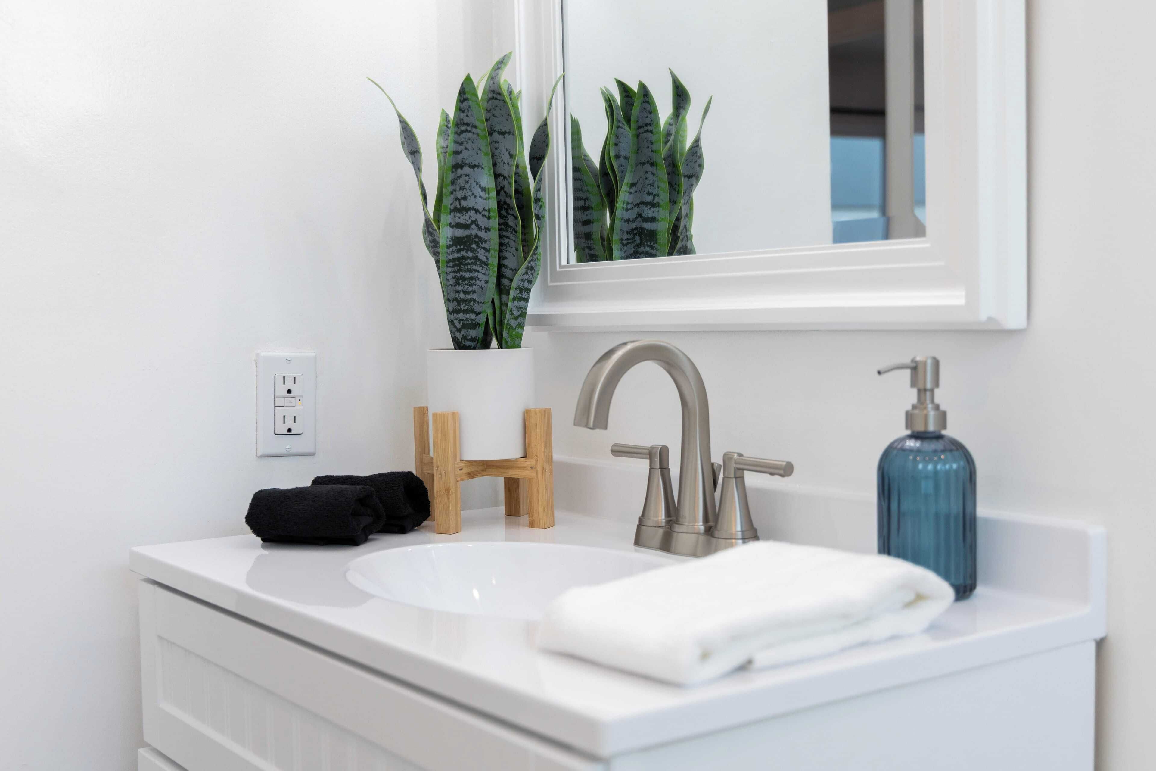 Un bagno con lavandino bianco, uno specchio, un rubinetto, un dispenser di sapone e una pianta.