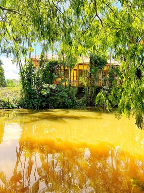 Jardines del alojamiento