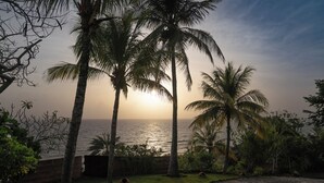 Une vue sur la côte, avec des palmiers et un coucher de soleil.