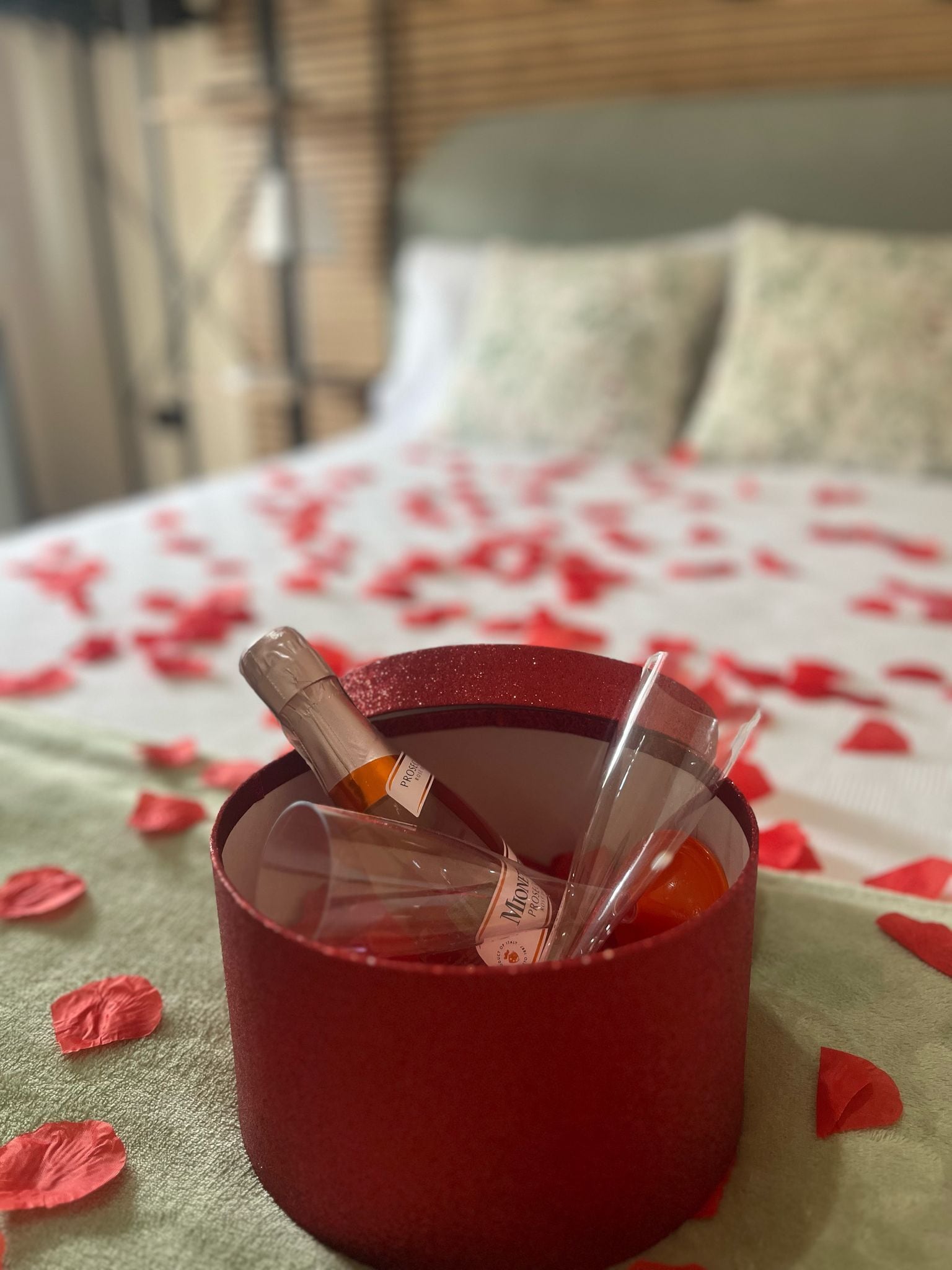 Photo - Domus Schipa