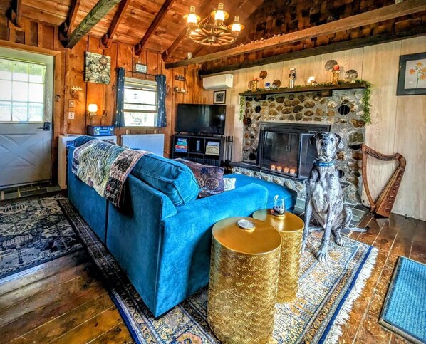 Smart-TV, Kamin, DVD-Player, Bücher