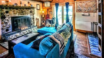 Smart TV, fireplace, DVD player, books