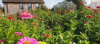 Set within our working flower farm alongside our main barn conversion, The Flower Room annexe is a s