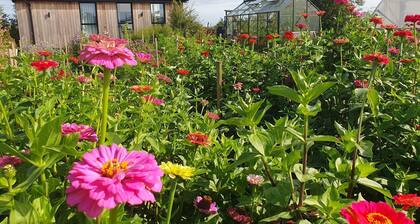 Set within our working flower farm alongside our main barn conversion, The Flower Room annexe is a s