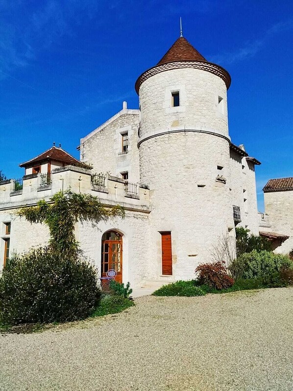 Exterior - Castle with 4 bedrooms and WiFi, AC in welcoming Juillac next to Saint Emilion (Juillac)