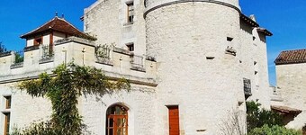 Castle with 4 bedrooms and WiFi, AC in welcoming Juillac next to Saint Emilion