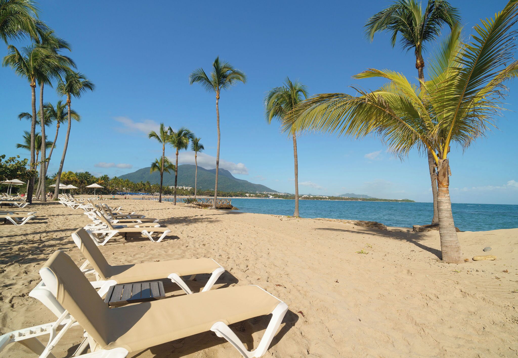 A beach with sun loungers, palm trees, and a view of the ocean.