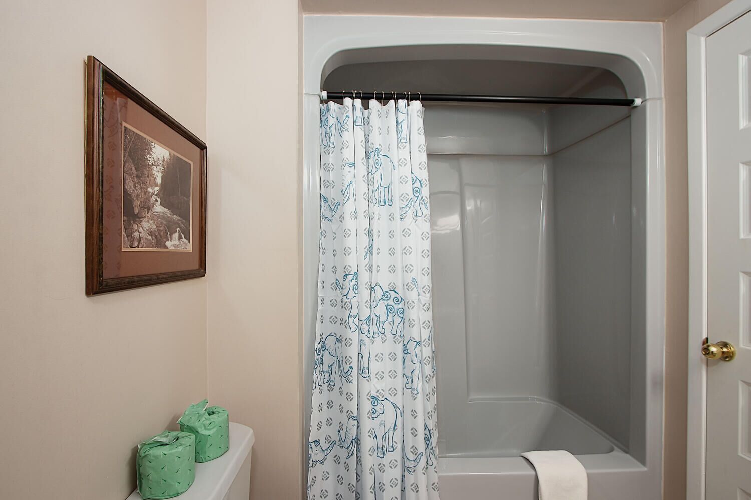 A bathroom with a shower curtain, a framed picture on the wall, and a toilet with green bags.