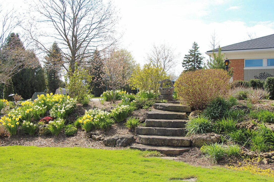 A garden with a stone staircase leading to a house.