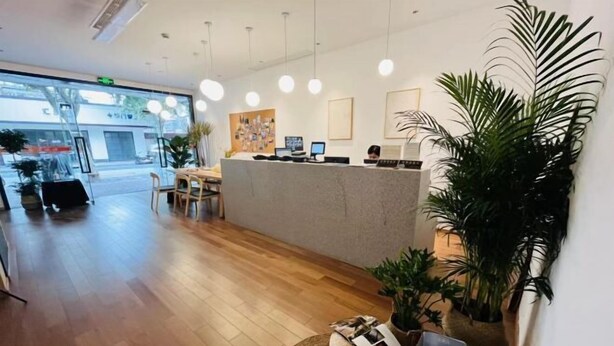 Un área de recepción moderna con piso de madera, un mostrador de recepción y varias plantas en macetas.