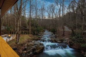 Property grounds - Waterfront Swimming Hole & Fishing |Games &Hot tub (Cocke County)