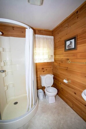 Ein Badezimmer mit Dusche, Toilette und Waschbecken, alles im Stil einer Holzjagdhuette.