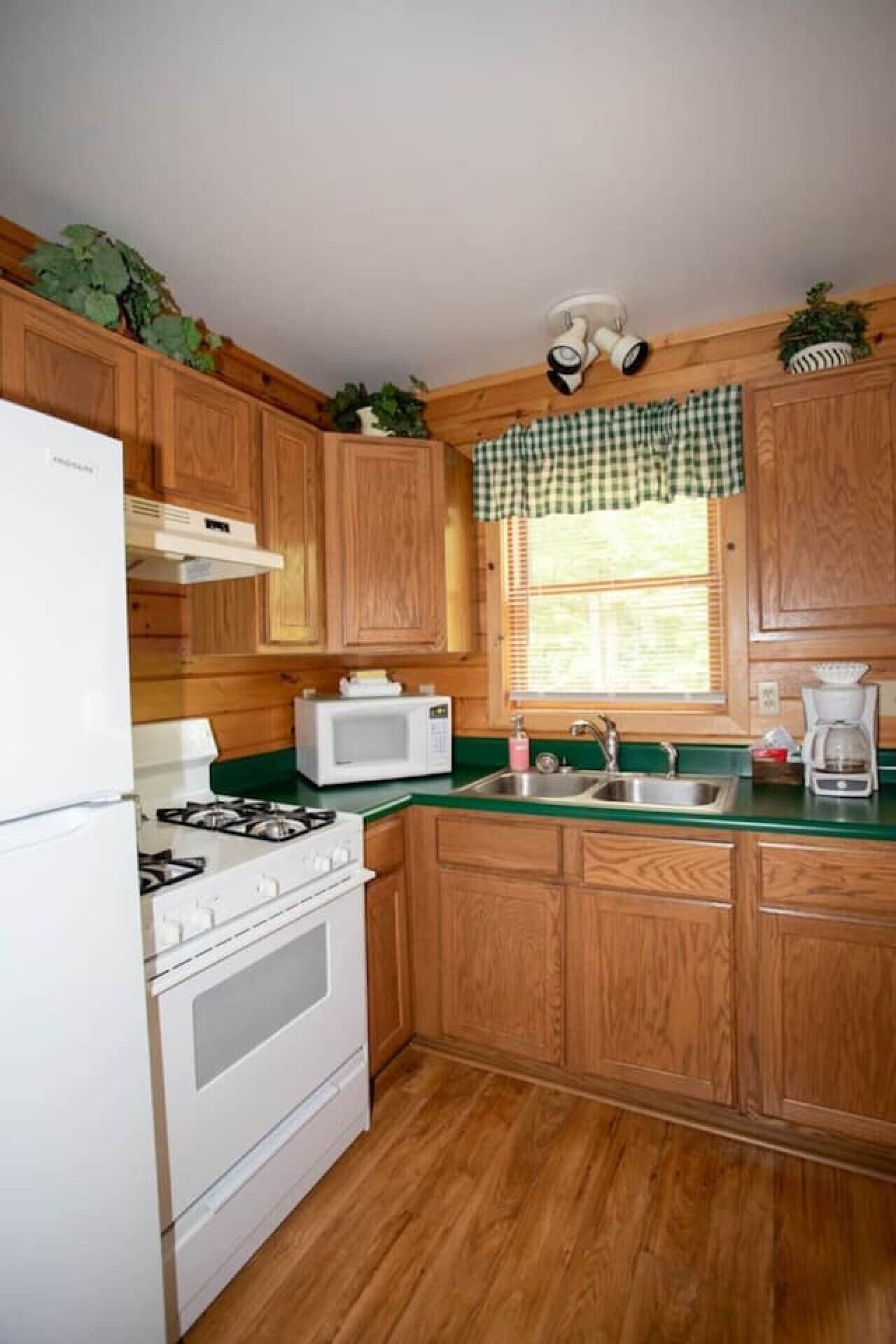 Fridge, microwave, oven, coffee/tea maker