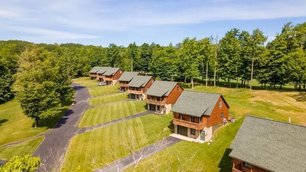 Exterior - Cabin 2418 - Grand Log Cabin within Private Resort (Bagley Township)