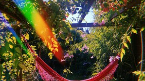 A hammock in a garden with dense foliage and a wooden pergola. - Casa Larica (Barra de Valizas)