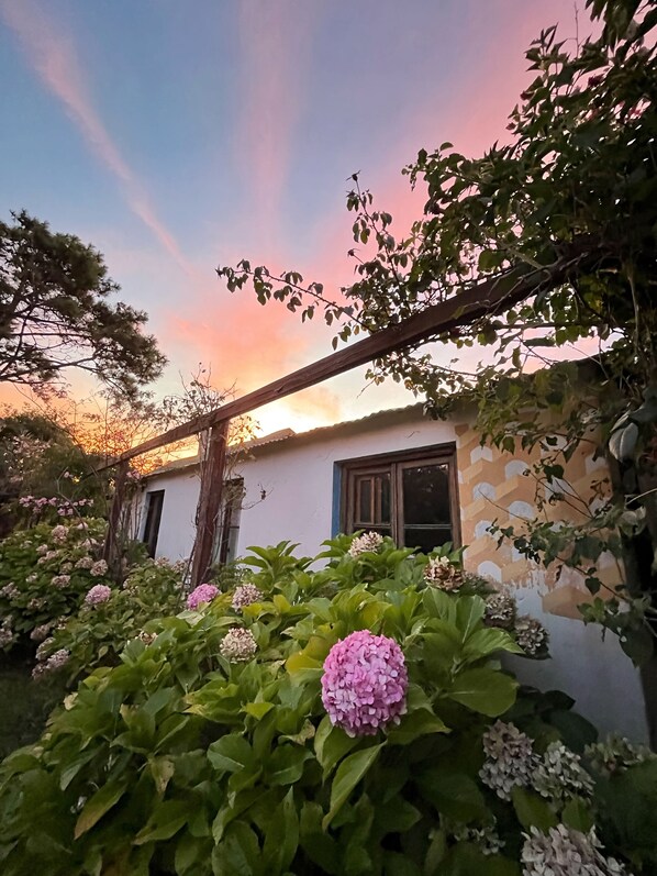 Front of property - Casa Larica (Barra de Valizas)