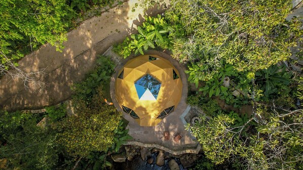 Suite de lujo | Terraza o patio