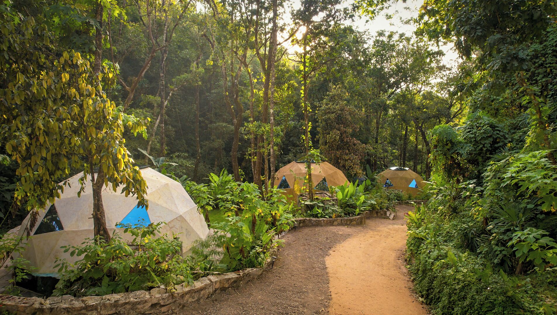 A forested area with several dome-shaped tents.