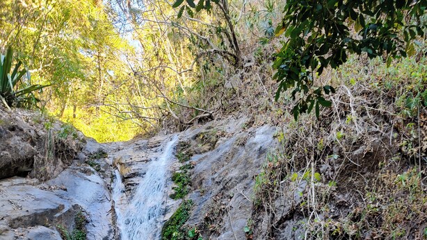 A waterfall cascading over rocks into a clear pool surrounded by trees. - Cabo Real Luxury Glamping (Las Juntas y los Veranos)