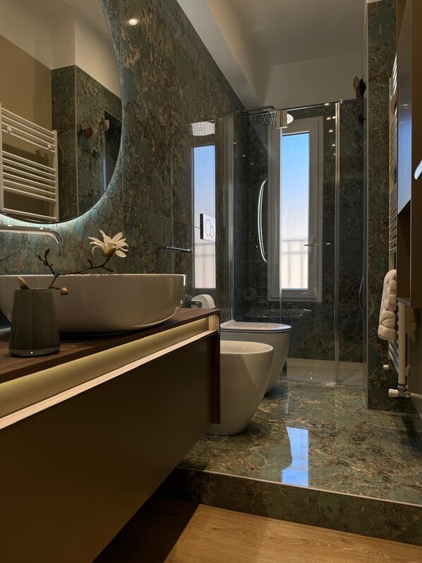 Shower, hair dryer, bidet, towels