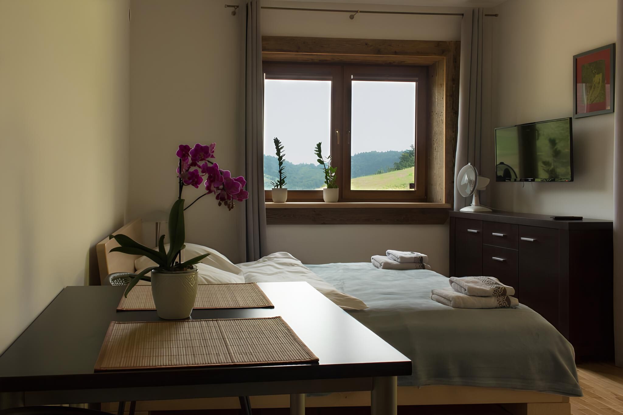 Classic Apartment, Private Bathroom, Mountain View | Desk, laptop workspace, blackout drapes, iron/ironing board